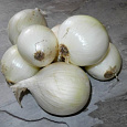 Лук Репчатый Белый Сладкий