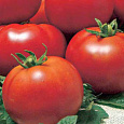 Томат Пламя Агро