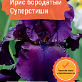 Ирис бородатый Суперстишн Ирис бородатый Суперстишн