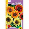 Подсолнечник  Смесь окрасок