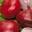 Лук репчатый Брунсвик